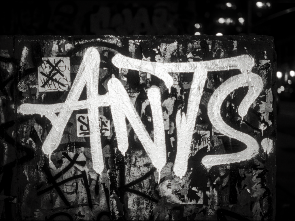 ANTS DAY & NIGHT. Ushua&iuml;a Ibiza and [UNVRS]. 2026.