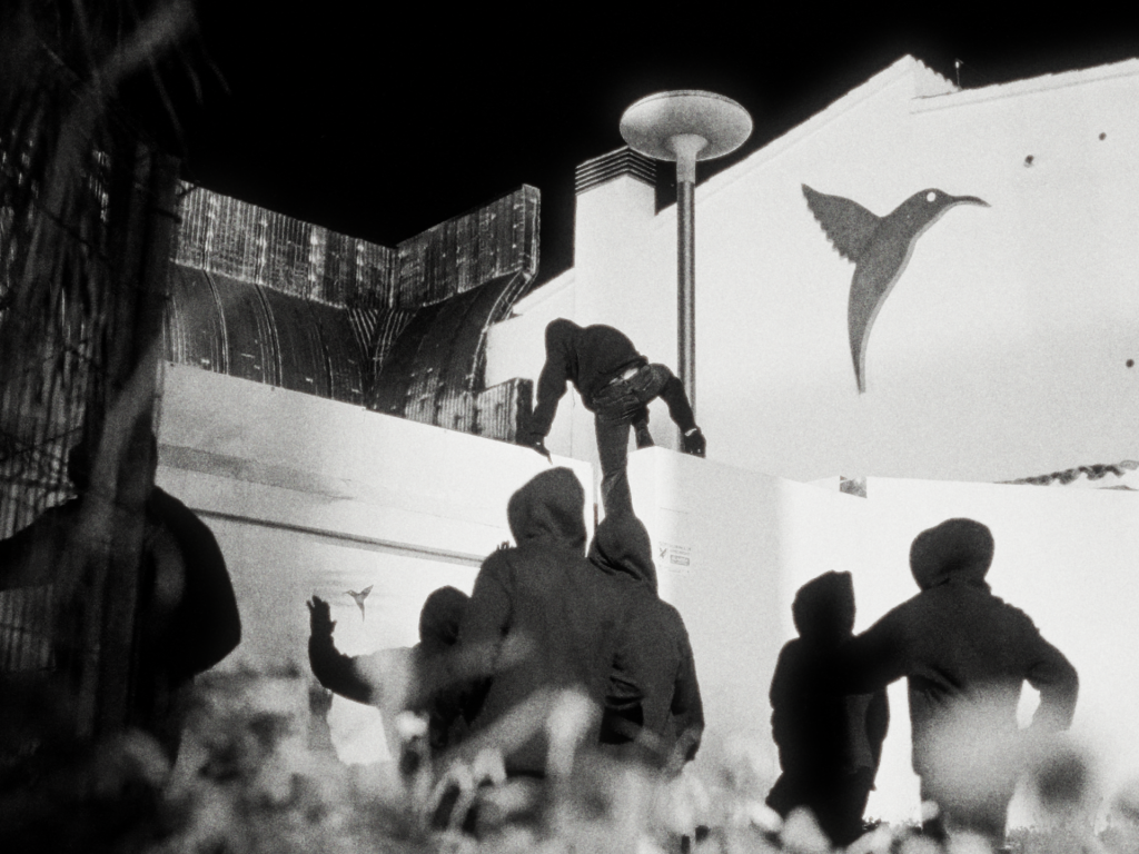 ANTS. Ushua&iuml;a Ibiza 2026.